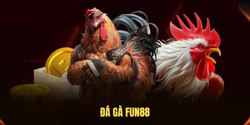 Đá Gà FUN88 – Sân Chơi Cá Cược Giải Trí Đầy Kịch Tính